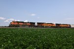 BNSF 975